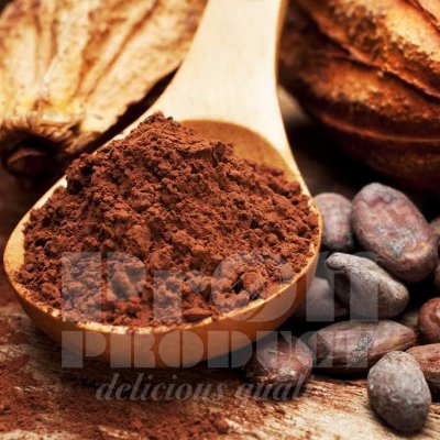 Какао-порошок алкалізований 10-12% Каргілл DB 82